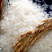舒兰大米