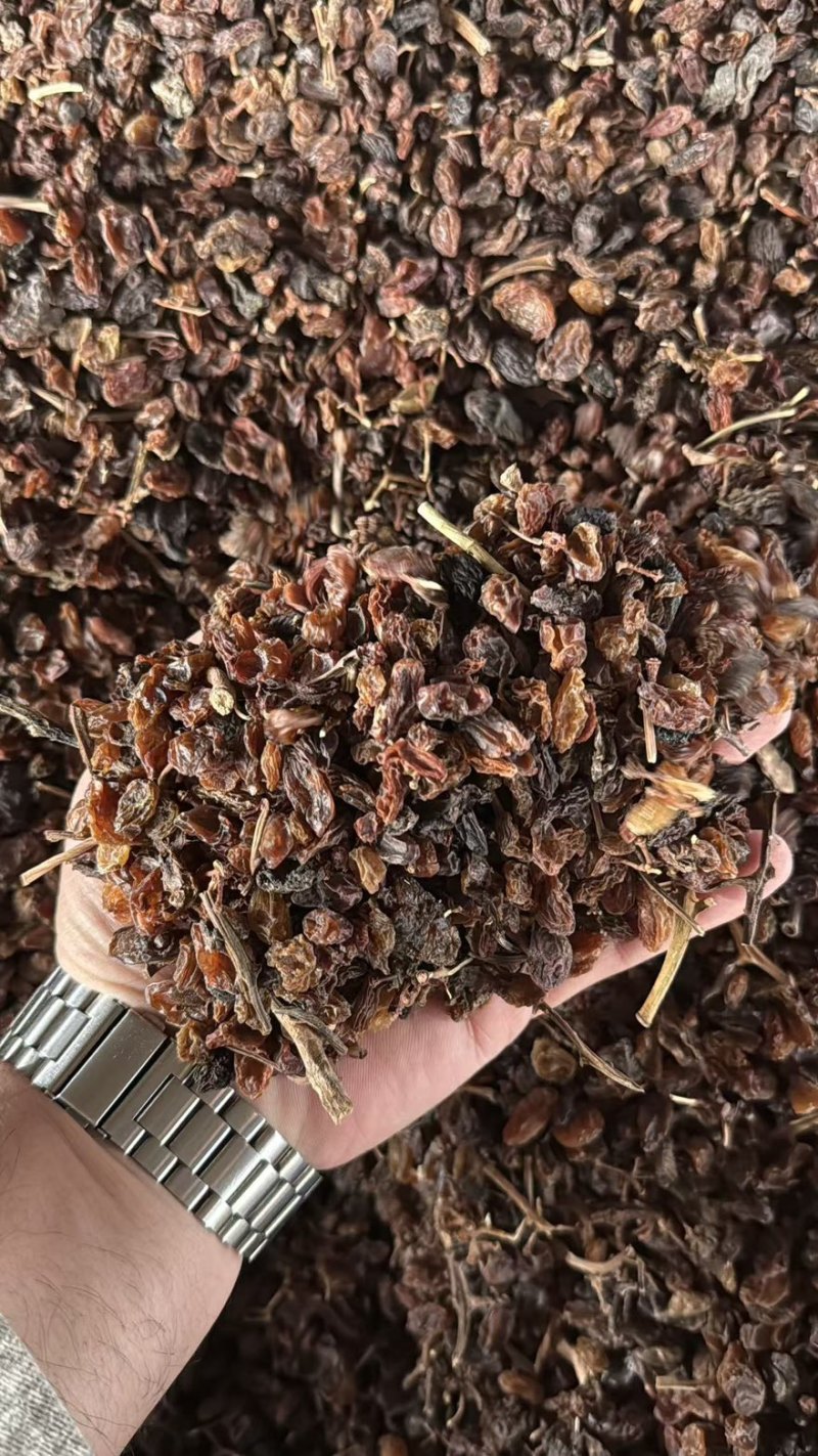 新疆吐鲁番葡萄干食品加工饲料加工专用葡萄干