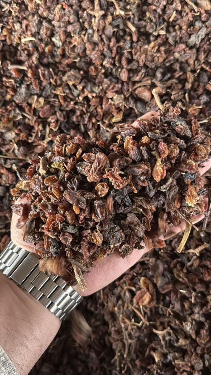 新疆吐鲁番葡萄干食品加工饲料加工专用葡萄干