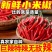 新鲜精品小米红尖椒适合店商超市加工厂品质好质量有保障联系