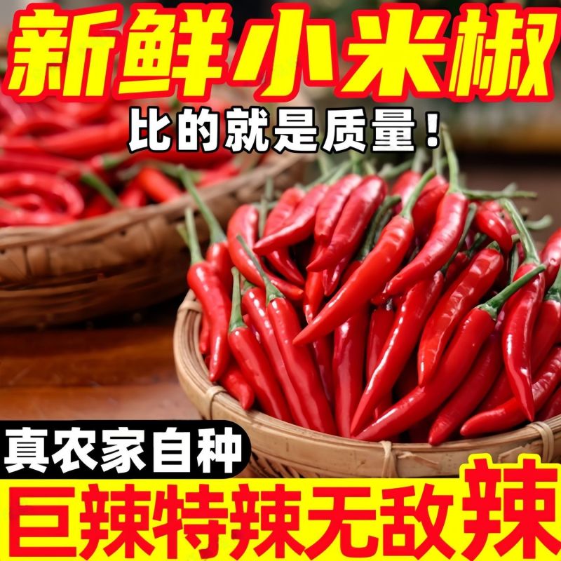 新鲜精品小米红尖椒适合店商超市加工厂品质好质量有保障联系