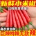 新鲜精品小米红尖椒适合店商超市加工厂品质好质量有保障联系