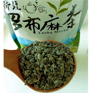 正品新疆原产地野生罗布麻嫩芽叶特级散装产罗布麻茶新疆野生
