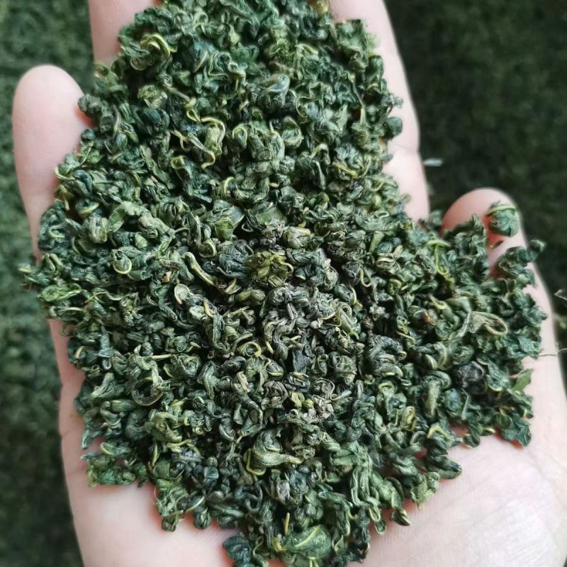 正品新疆原产地野生罗布麻嫩芽叶特级散装产罗布麻茶新疆野生