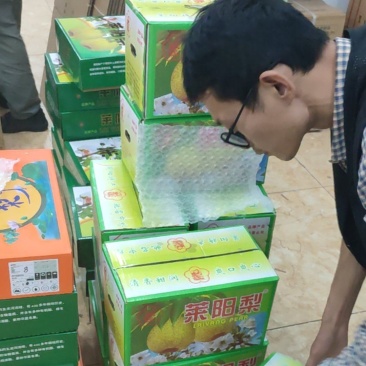 莱阳梨