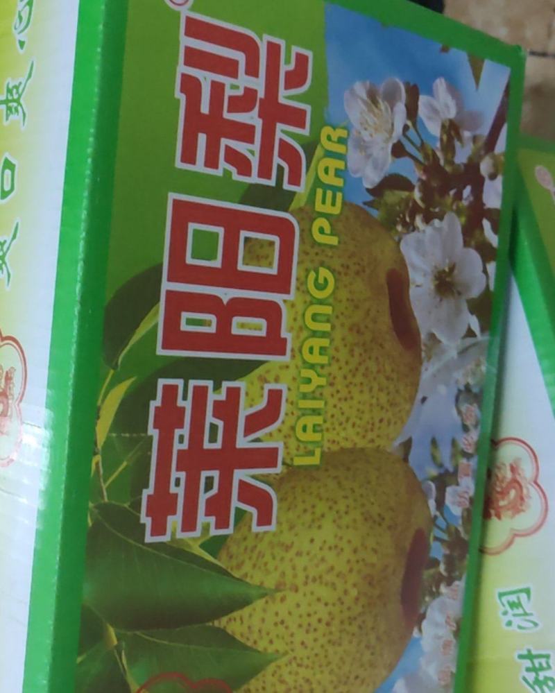 莱阳梨