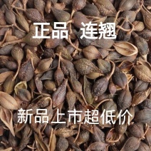 中药材正品新货精选野生连翘无硫天然连壳青翘青翘落包邮