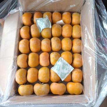 特一级高山脆柿子，质量决定一切