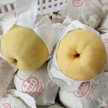 雅安市汉源县金花梨纸袋350~400g