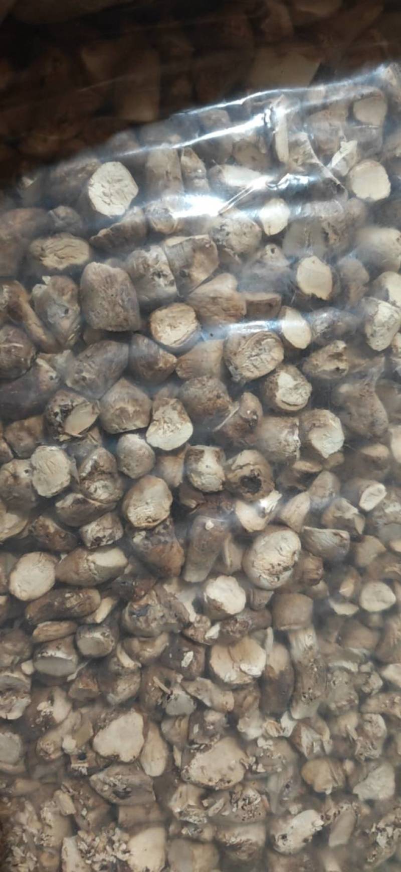 双剪香菇根，干香菇根