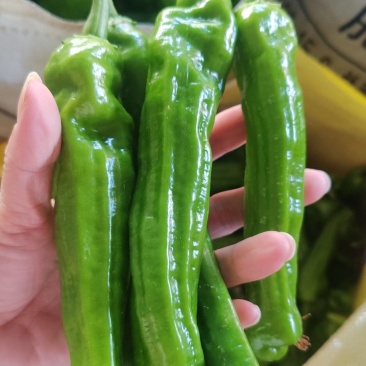 精品芜湖椒