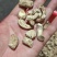 双剪香菇根，干香菇根