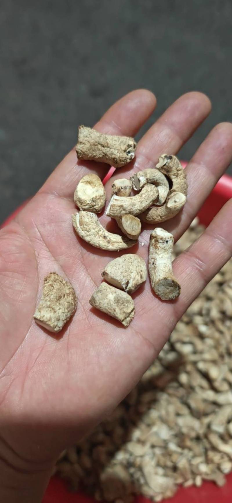 双剪香菇根，干香菇根