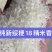 大米，自家种的