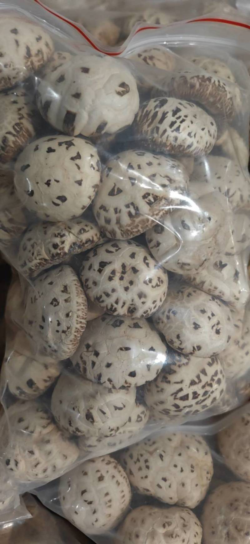 天白花菇，精品出口花菇