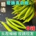 苏鲁豫皖精品青杭椒精美四号品质有保障需要的新老朋友请联系