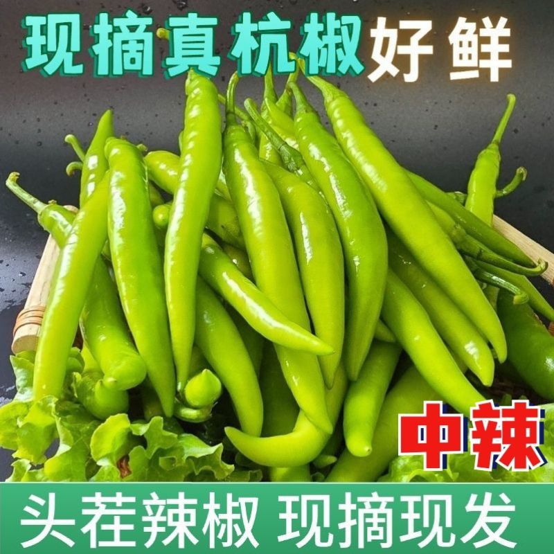 新鲜精品大青杭椒店商超市加工厂质量好品质有保障要的请联系