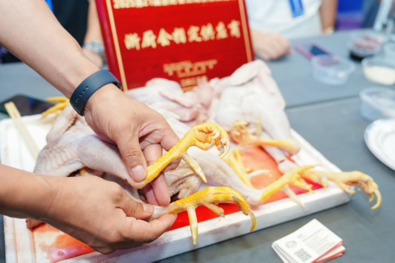 正宗三年老公鸡