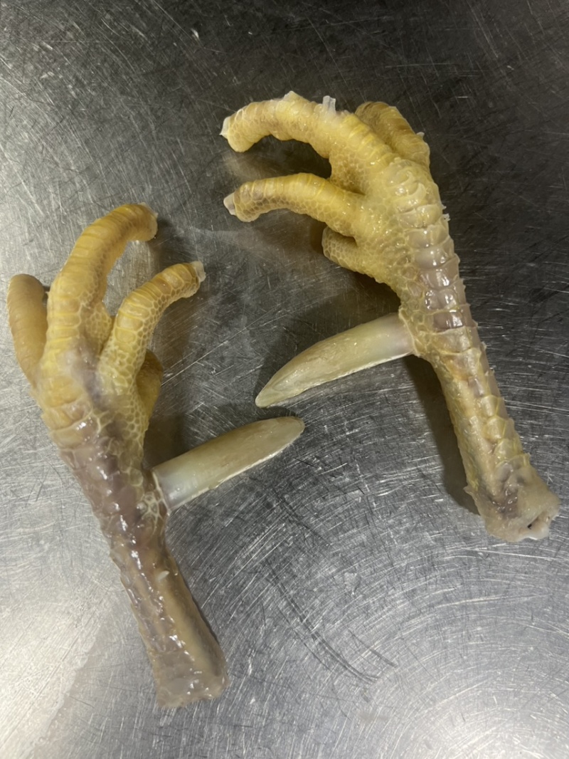 正宗三年老公鸡