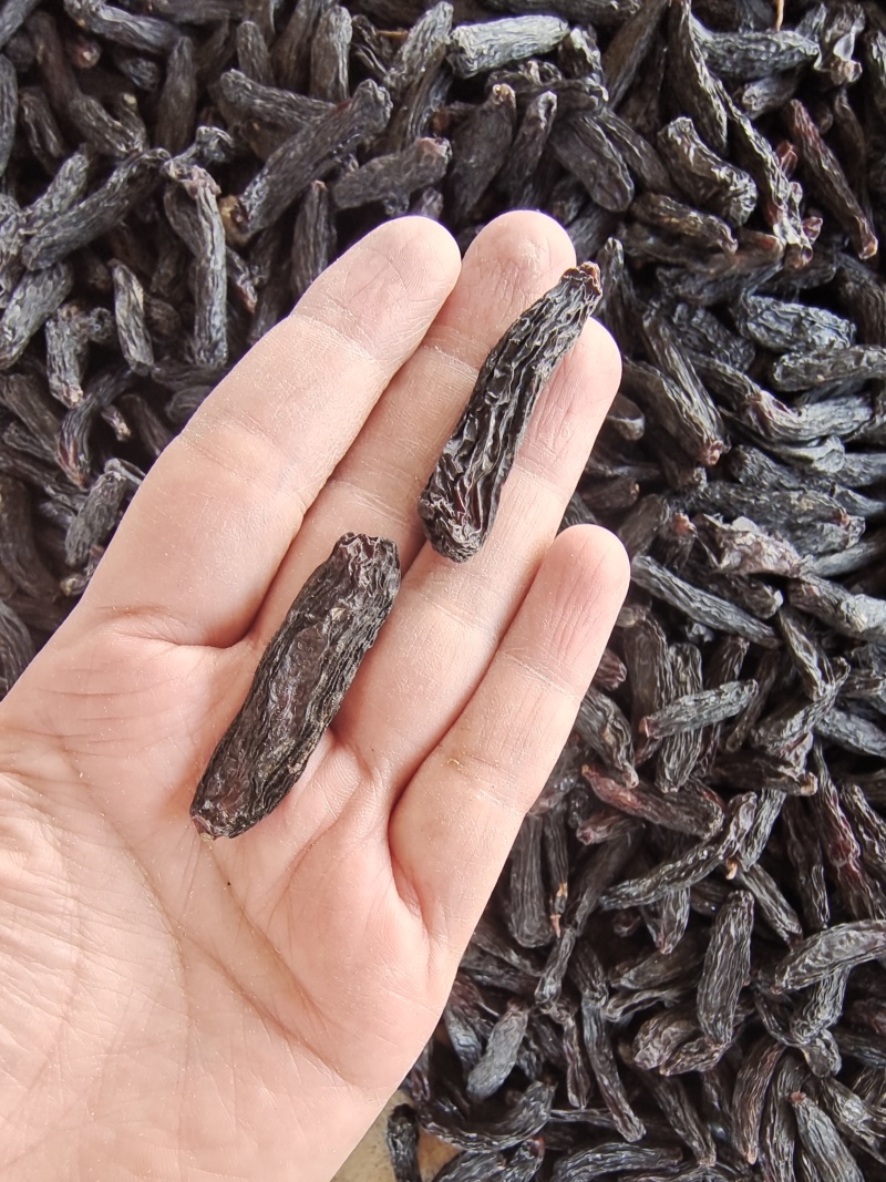 新疆特产葡萄干休闲零食奶茶蛋糕店烘培原料通货