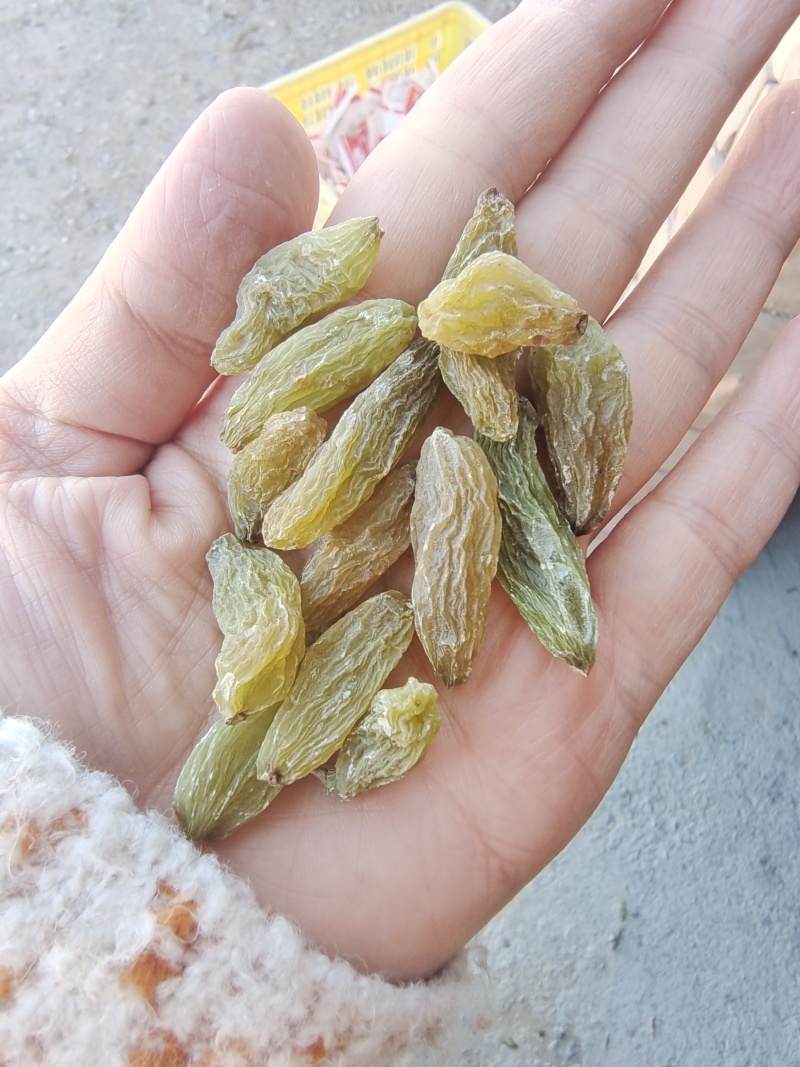 新疆特产葡萄干休闲零食奶茶蛋糕店烘培原料通货
