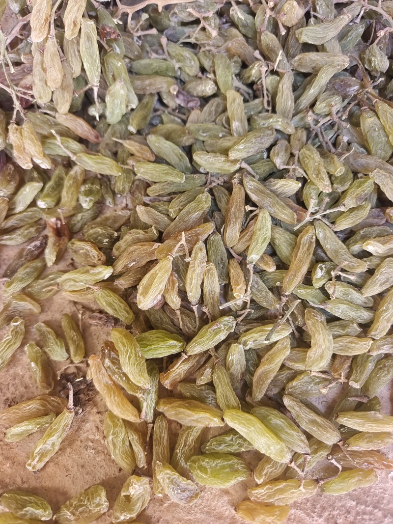 新疆特产葡萄干休闲零食奶茶蛋糕店烘培原料通货