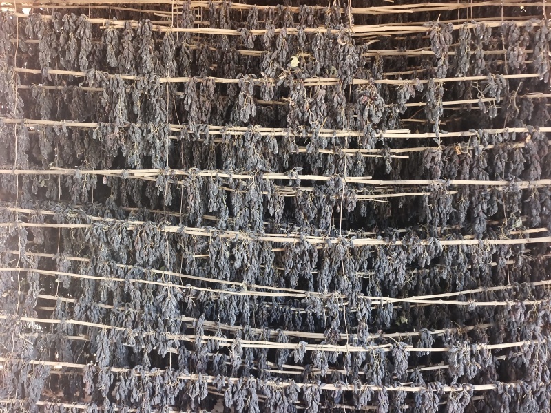 新疆特产葡萄干休闲零食奶茶蛋糕店烘培原料通货