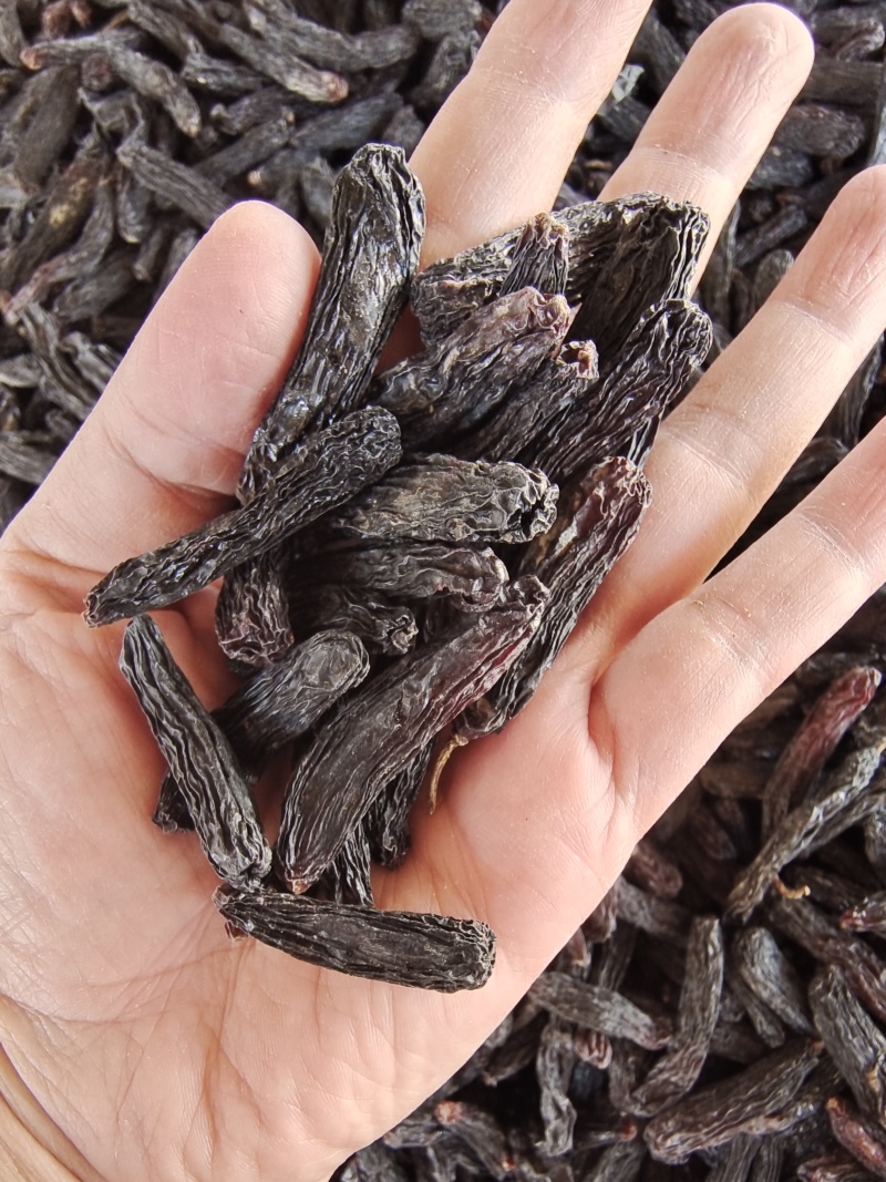 新疆特产葡萄干休闲零食奶茶蛋糕店烘培原料通货