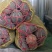 《实力商家》广西精品香芋南瓜大量现货大量供应市场电商超市
