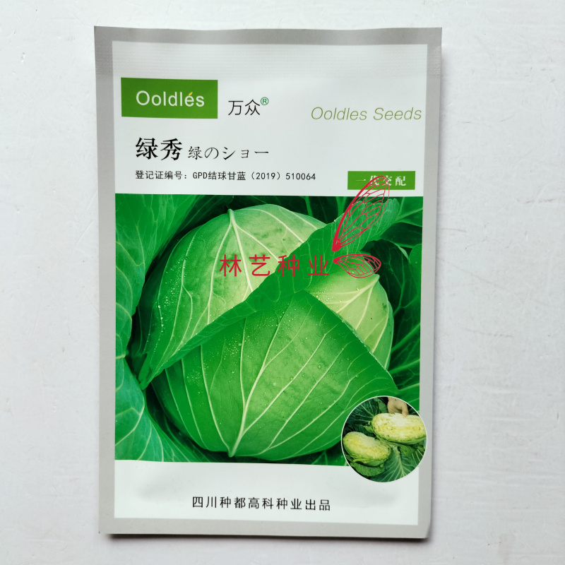 绿秀水果甘蓝种子日本进口平头包菜新品种耐热耐寒高产