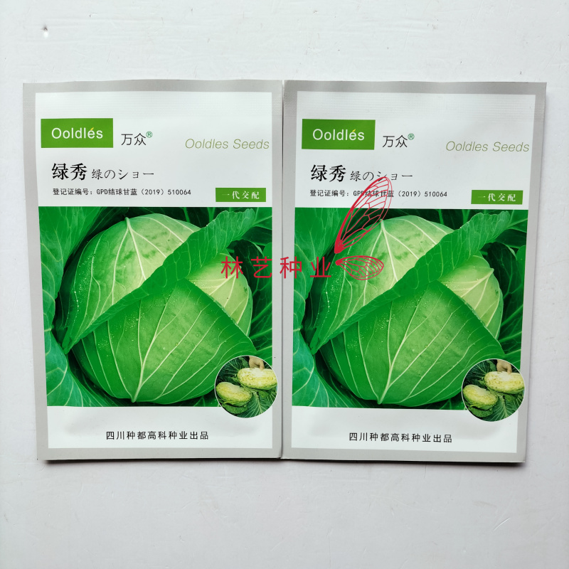 绿秀水果甘蓝种子日本进口平头包菜新品种耐热耐寒高产