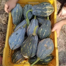 《实力商家》贵州精品香芋南瓜大量现货大量供应市场电商超市