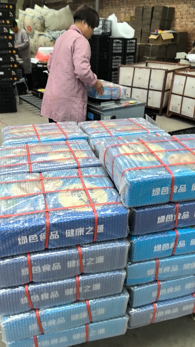 【秋月梨】秋月梨河北梨区肉质细腻饱满一件代发对接团购电联优惠