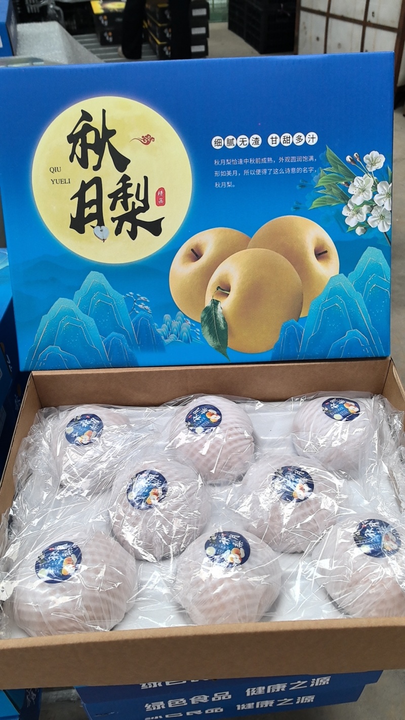【秋月梨】秋月梨河北梨区肉质细腻饱满一件代发对接团购电联优惠