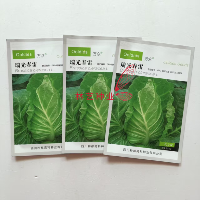 种都瑞光春雷牛心甘蓝种子翠绿脆嫩高产耐寒抗病性佳