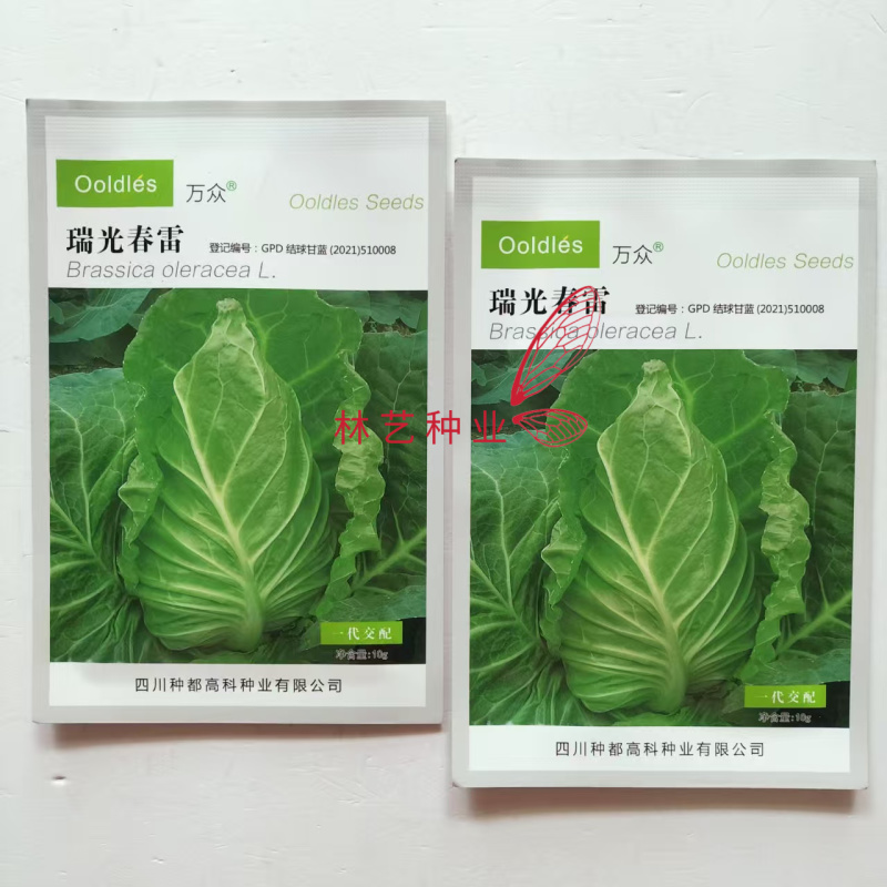 种都瑞光春雷牛心甘蓝种子翠绿脆嫩高产耐寒抗病性佳