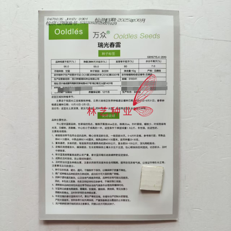 种都瑞光春雷牛心甘蓝种子翠绿脆嫩高产耐寒抗病性佳