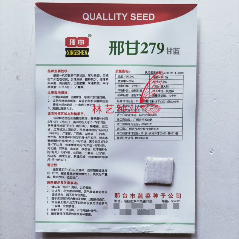 邢申邢甘279水果甘蓝种子中熟扁圆形包菜杂交口感脆嫩