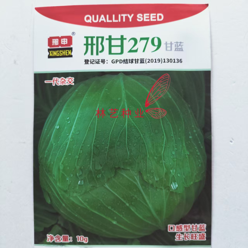 邢申邢甘279水果甘蓝种子中熟扁圆形包菜杂交口感脆嫩