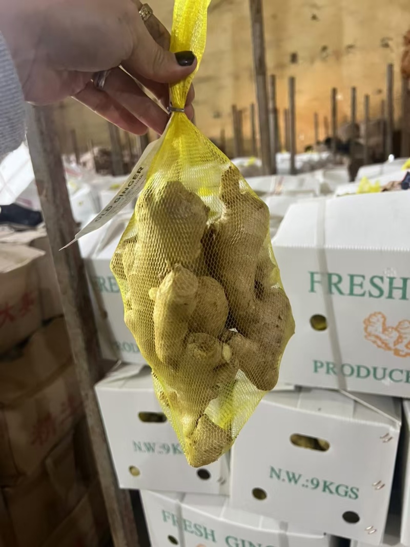 大姜出口加工丨产地直发丨货源稳定丨按需做货丨欢迎洽谈合作