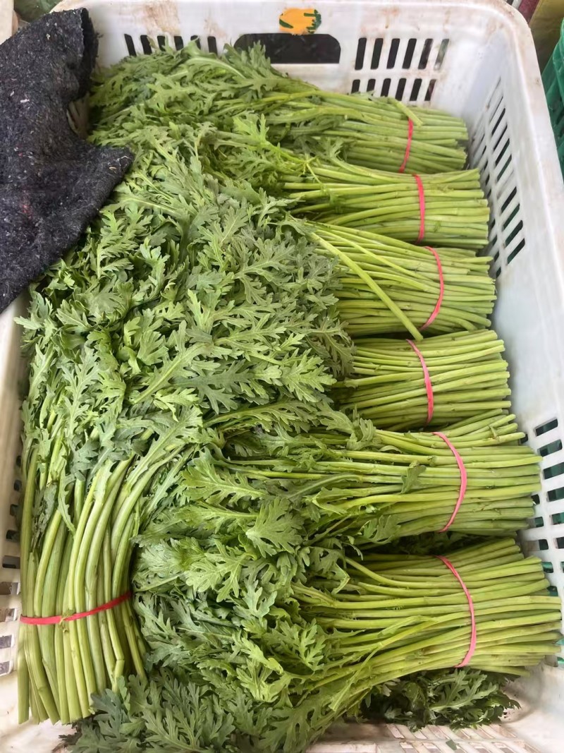 金虎浓香型光杆茼蒿种子皇帝菜种籽美味耐寒清香茼蒿菜种子