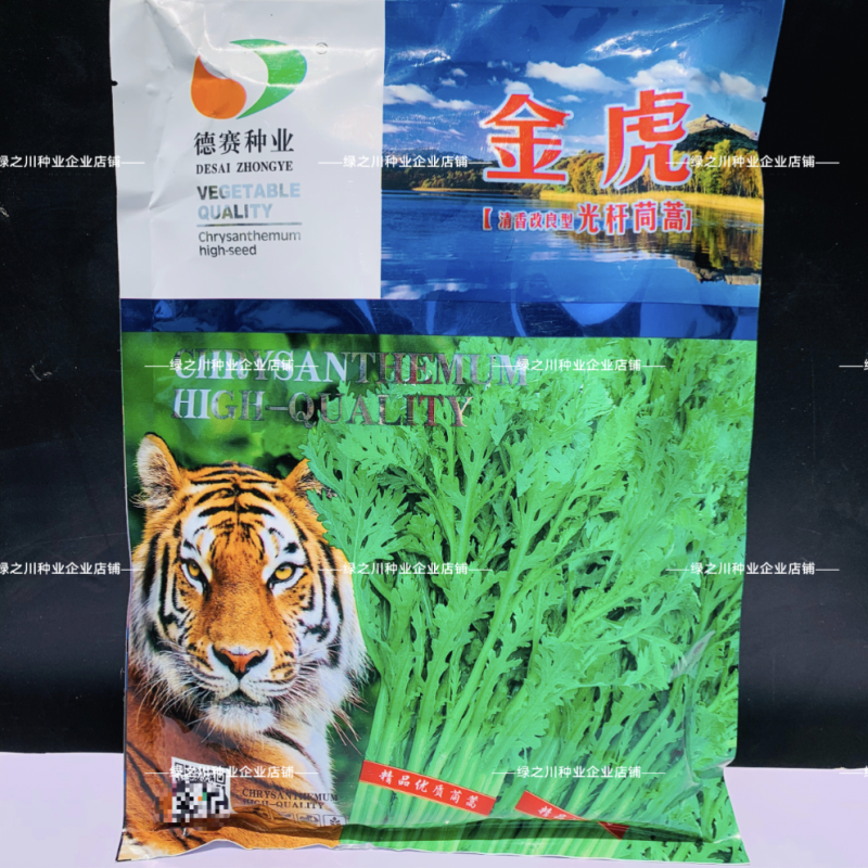 金虎浓香型光杆茼蒿种子皇帝菜种籽美味耐寒清香茼蒿菜种子