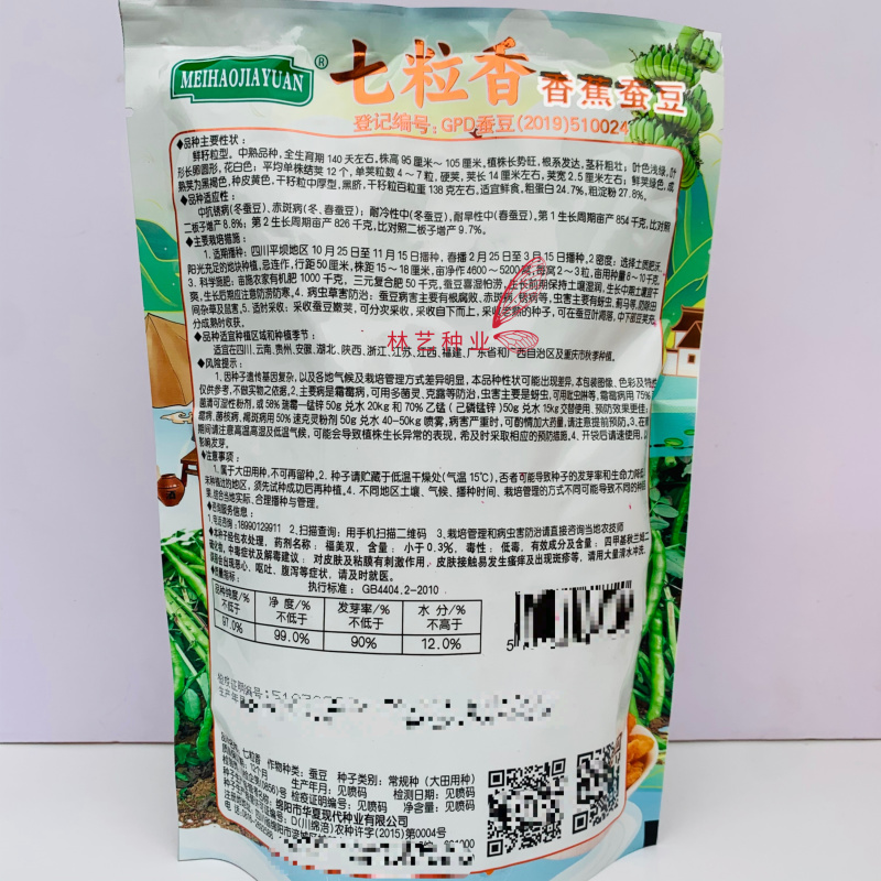 七粒香香蕉蚕豆种子鲜籽粒型中熟品种根系发达茎杆粗壮