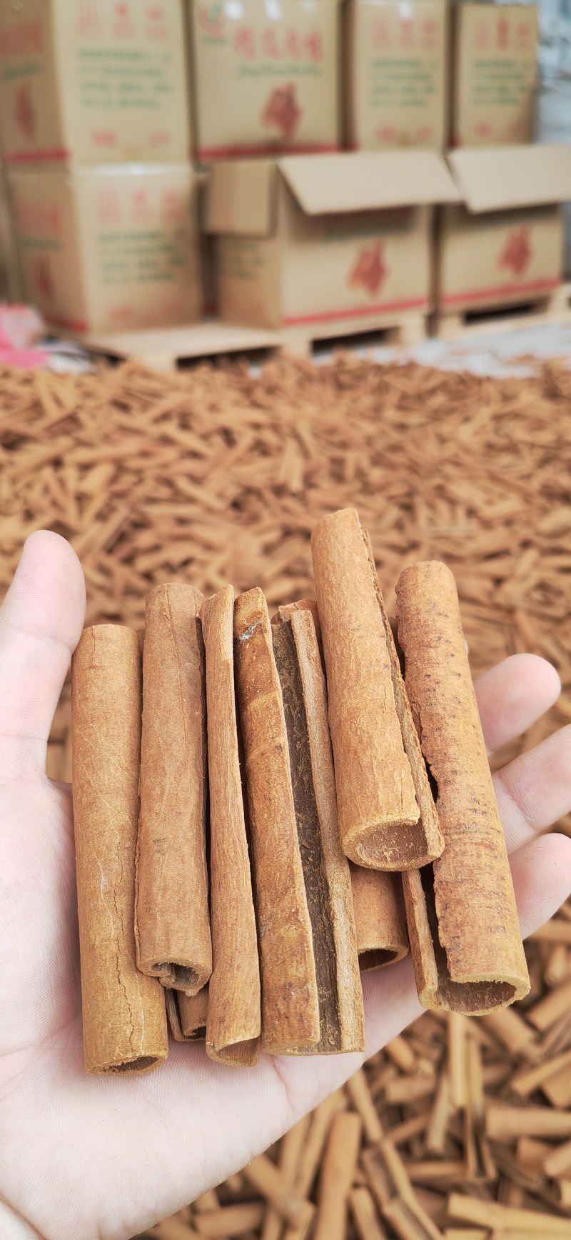 桂皮正十肉桂烟桂，餐厅、电商、卤料专用，量大可以沟通。