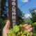 大红八角秋季大茴大料，工厂、电商、餐饮厨房量大可谈价