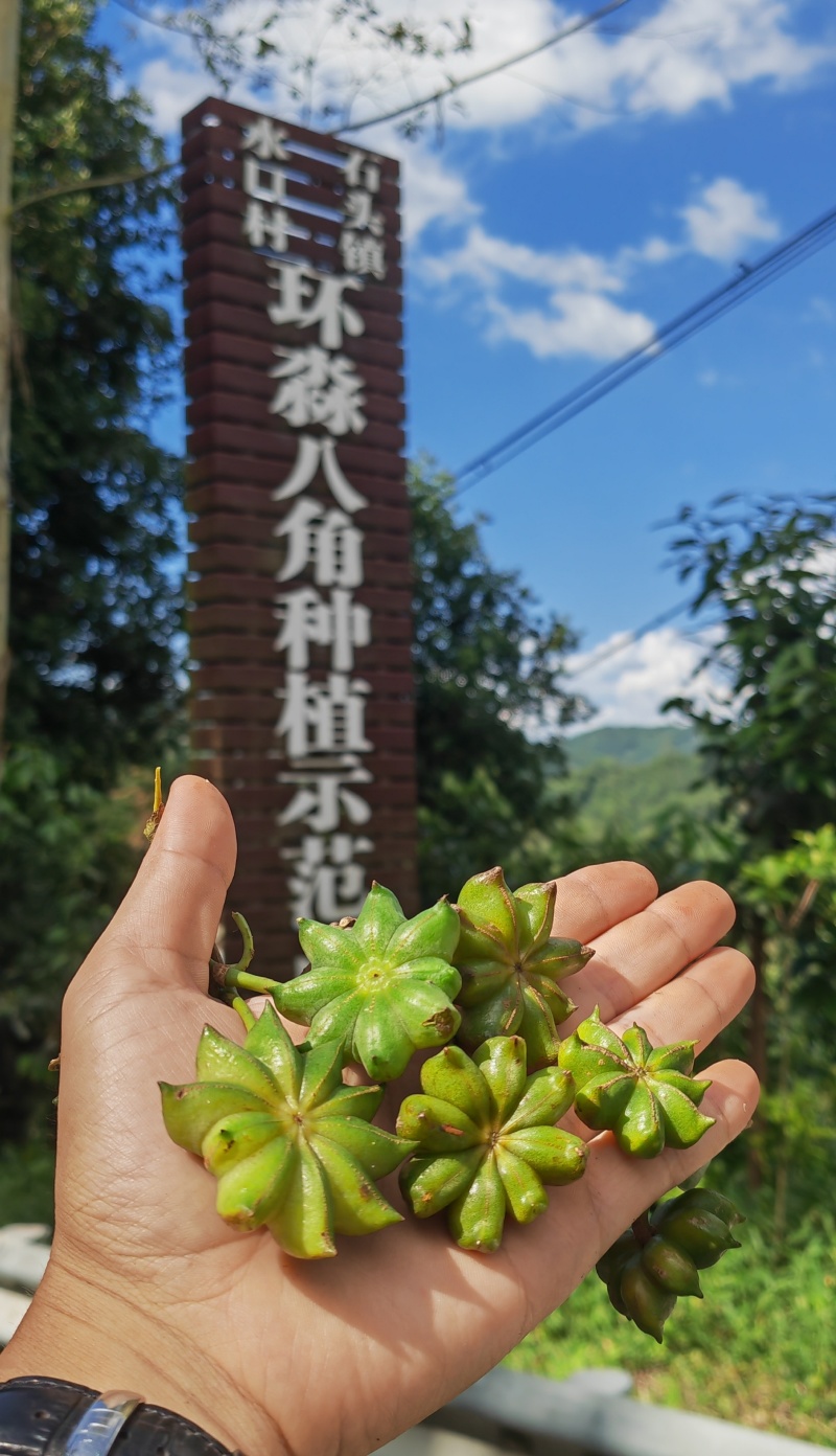 大红八角秋季大茴大料，工厂、电商、餐饮厨房量大可谈价