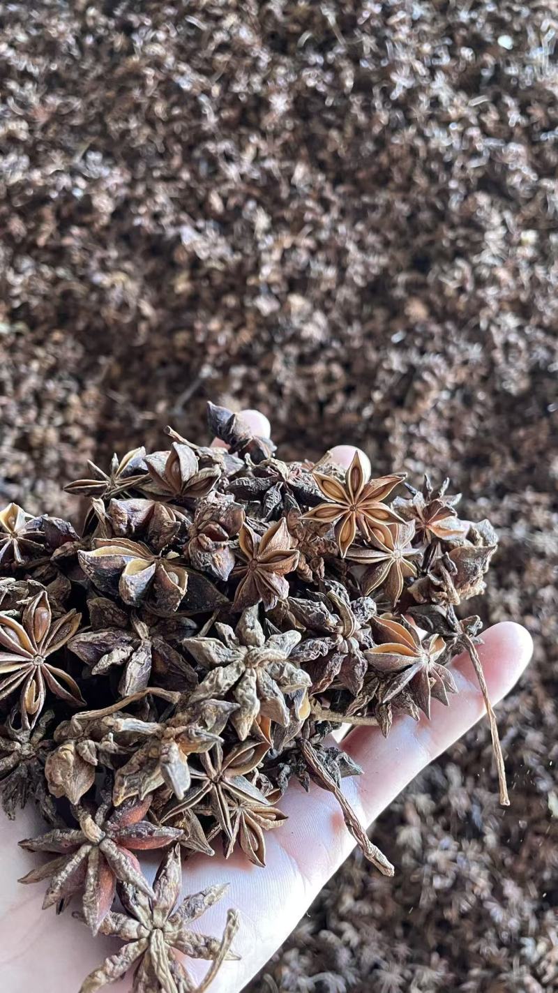 大红八角秋季大茴大料，工厂、电商、餐饮厨房量大可谈价
