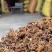 大红八角秋季大茴大料，工厂、电商、餐饮厨房量大可谈价