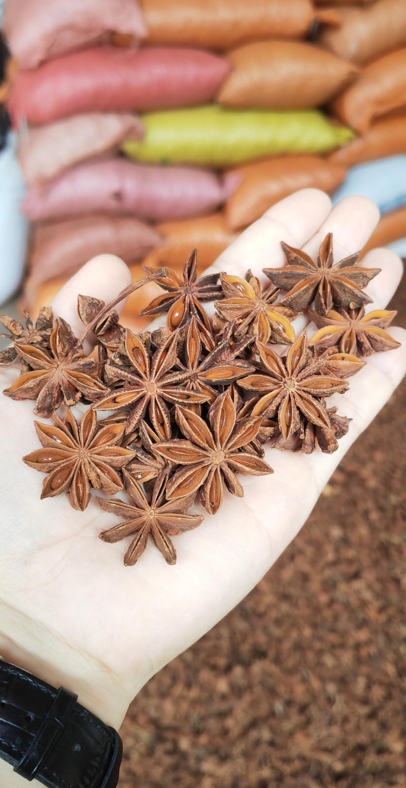 大红八角秋季大茴大料，工厂、电商、餐饮厨房量大可谈价