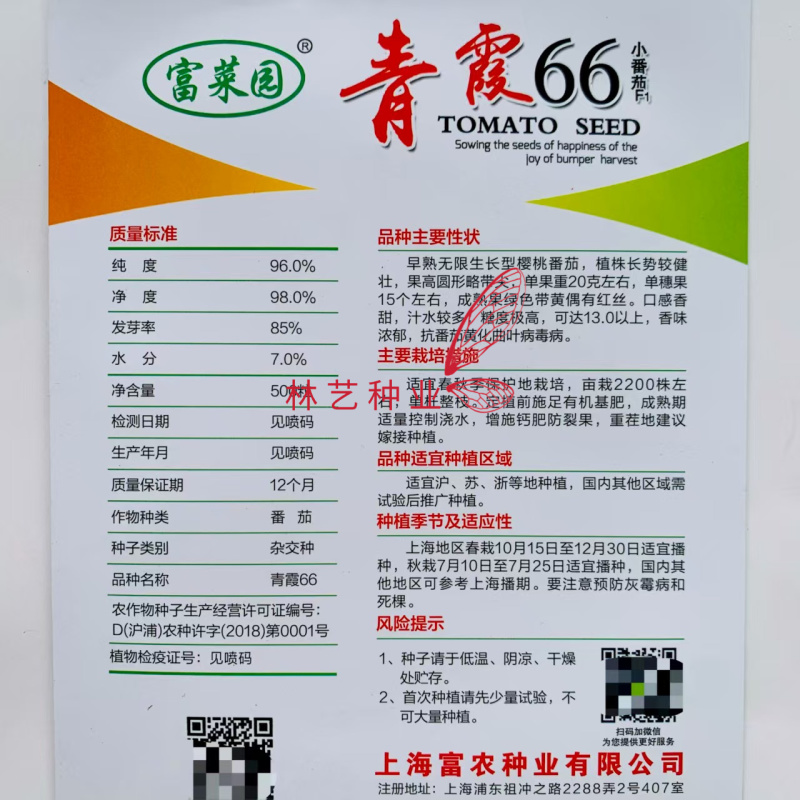 青霞66樱桃番茄种子无限生长早熟杂交小番茄种籽春秋季